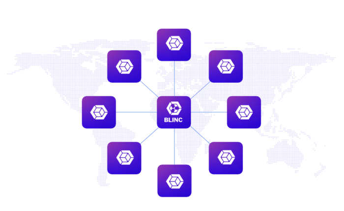 Global network representation of BLINC