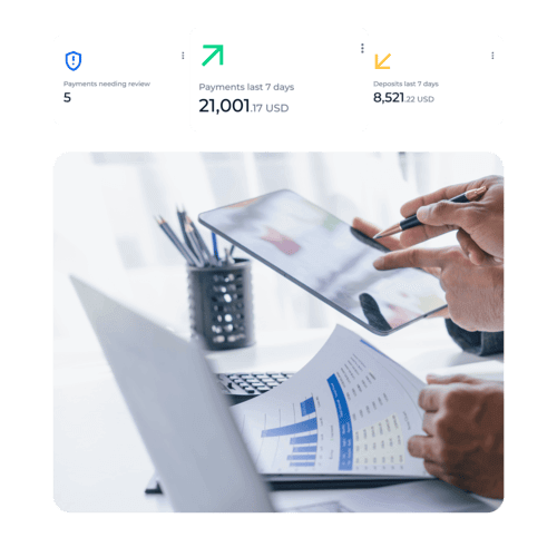 Financial data analysis and monitoring